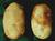 Images 554_tiny